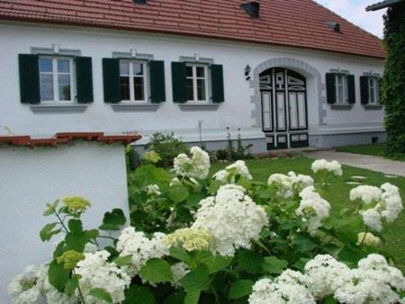 فندق Arkadenhof Kurtz Markt Allhau المظهر الخارجي الصورة